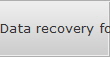 Data recovery for Rochester data